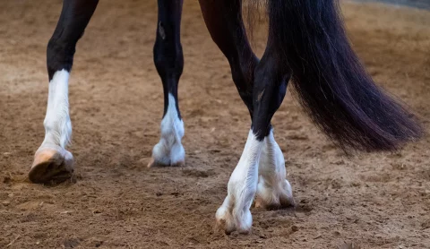 0f9db76a-690d-4880-8c60-9d0354a55bc7