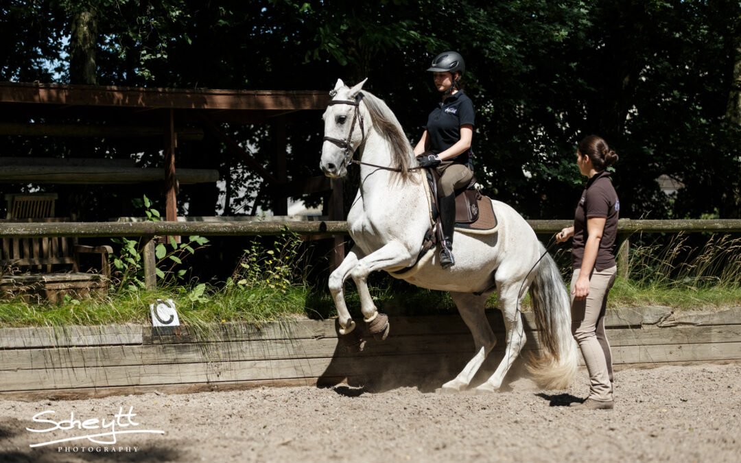 Theorieabend: „Versammlung – Wie & Warum“