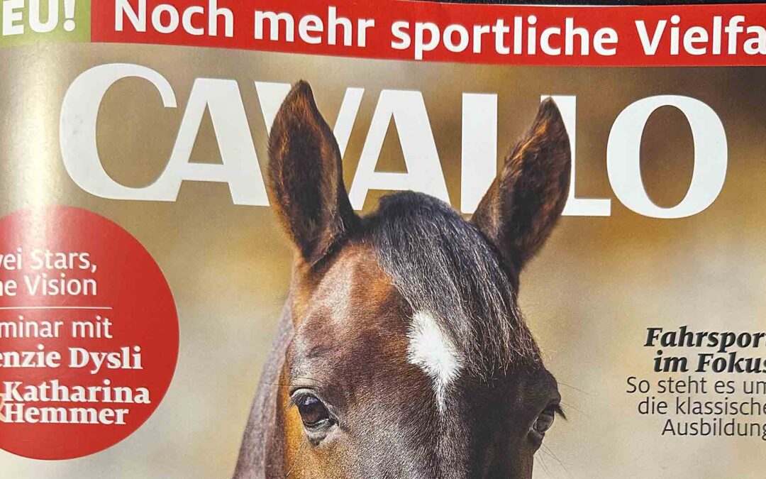 Der Cavallo Reitschul-Test war bei uns…