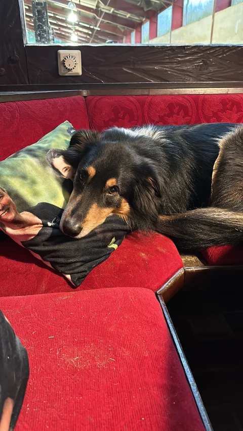 25A67956-A87B-46E6-A26F-AAC224461DA2