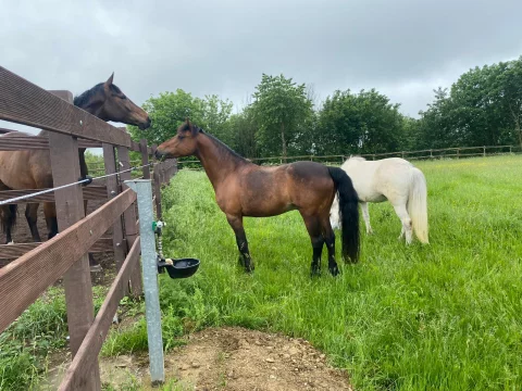 7ab59029-3e82-471e-854c-4c56c79c9b87