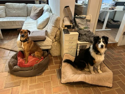 8af9b72a-6450-421d-870c-40330ea9813c