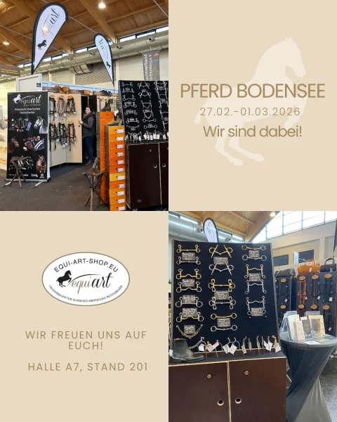 Ankündigung Pferd Bodensee_Pferde HG