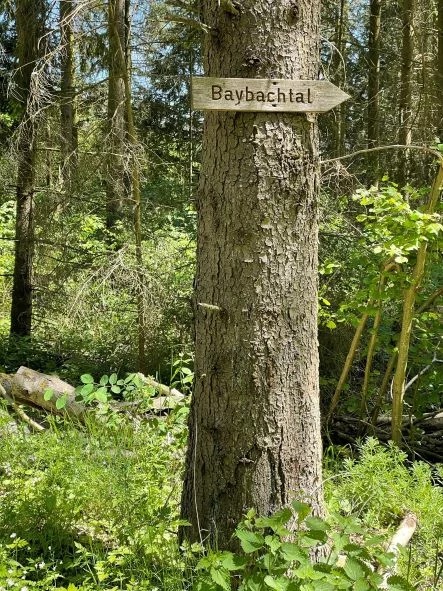 Austritte-rund-um-die-Reitanlage