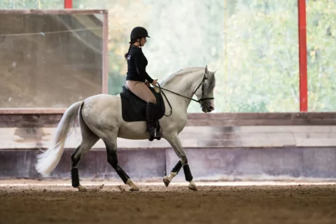 Beritt_Ausbildung-1-980x653