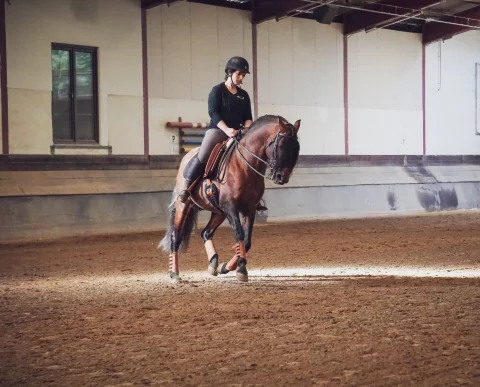 Beritt_Ausbildung_kl