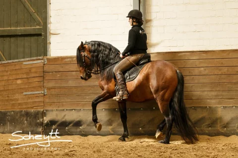 Duque-04052015-9014-1024x683-1