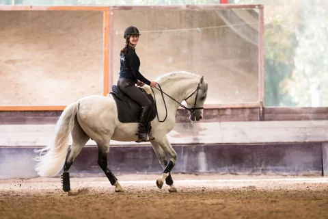 Lehrpferd-Capricho_2