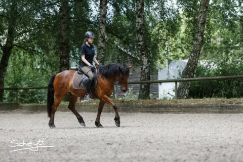 Malachy-1977-1024x683-1-980x654