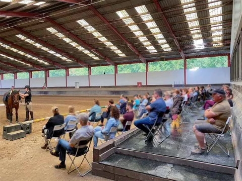 Oeffentliches-Training-equiart-Reitkunst
