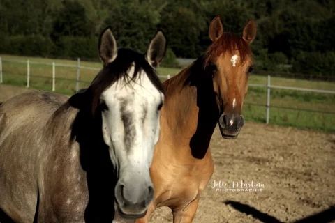 Pica-und-Quilate-1280x854