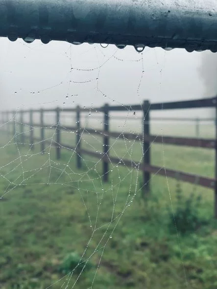 Reitanlage-in-Herbststimmung