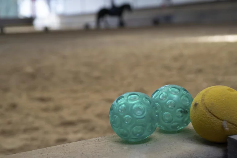 Seminar-Besser-sitzen-feiner-Reiten