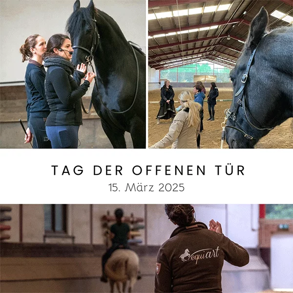 Tag-der-offenen-Tuer-equiart-15Mar25