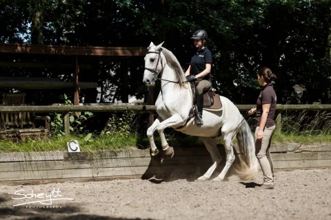 Zefiro-0038-1024x683-1