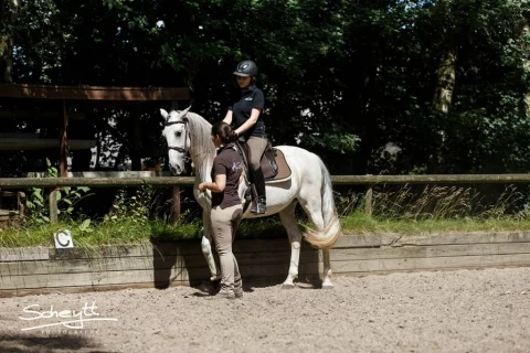 Zefiro-0044-1024x683-1