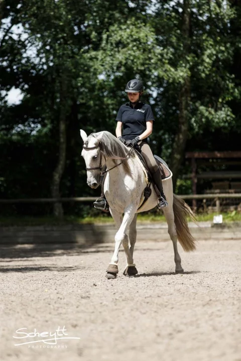 Zefiro-0327-683x1024-1