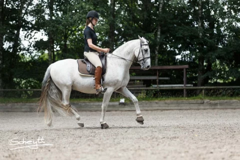 Zefiro-0684-1024x683-1