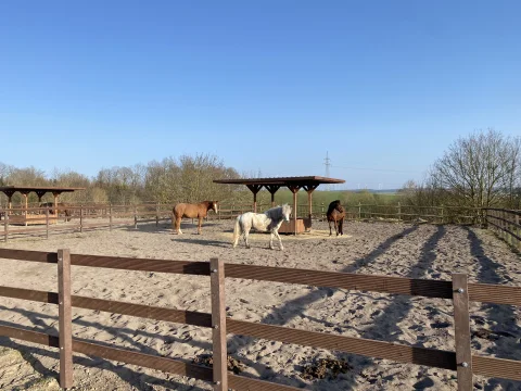 equi_art Reitanlage Paddocks