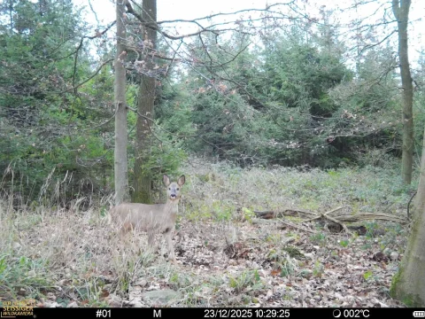 hq_1025976160_REC_251223_0929_T5CGU