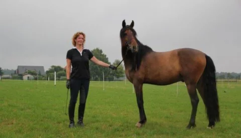 judith-und-ernesto2-610x350-1