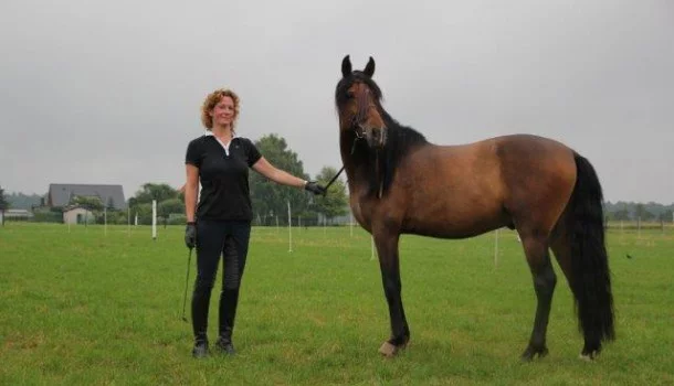 judith-und-ernesto2-610x350-1