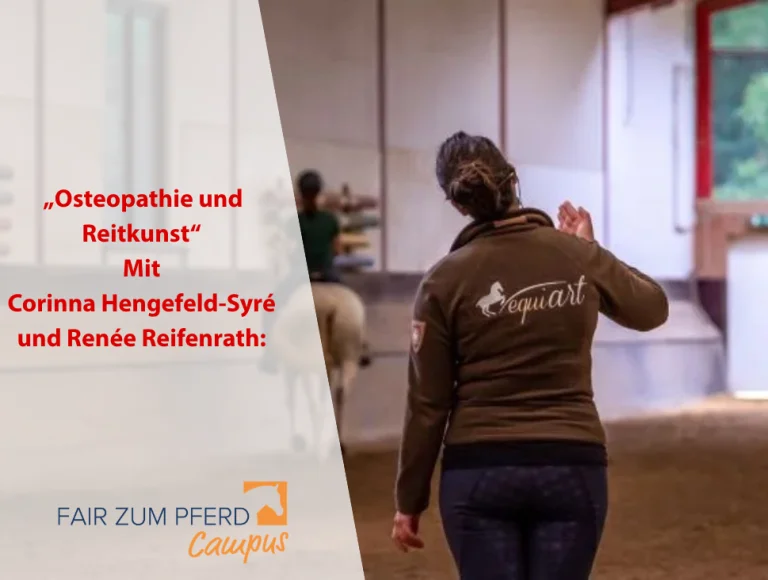 reitkunst_hp_einspaltig