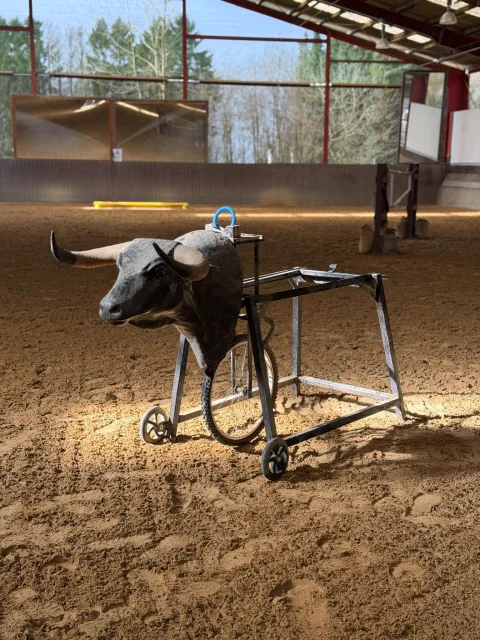 working-equitation-stier