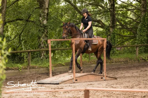 working-equitation1